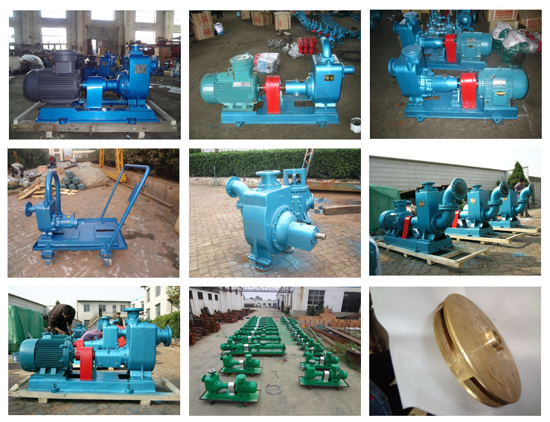 自(zì)吸油泵(bèng)