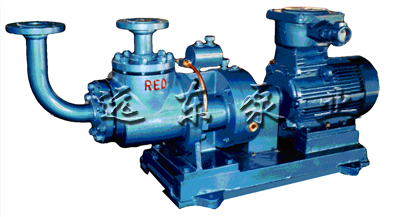 加(jia)氣站專用(yong)雙螺杆LPG抽(chou)吸泵-芜湖韦纳计算机设备集团(5G网站)