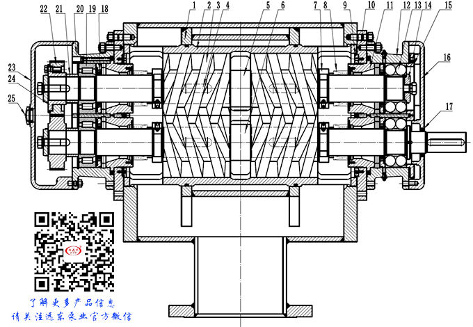 雙(shuang)螺杆泵結構(gòu)圖