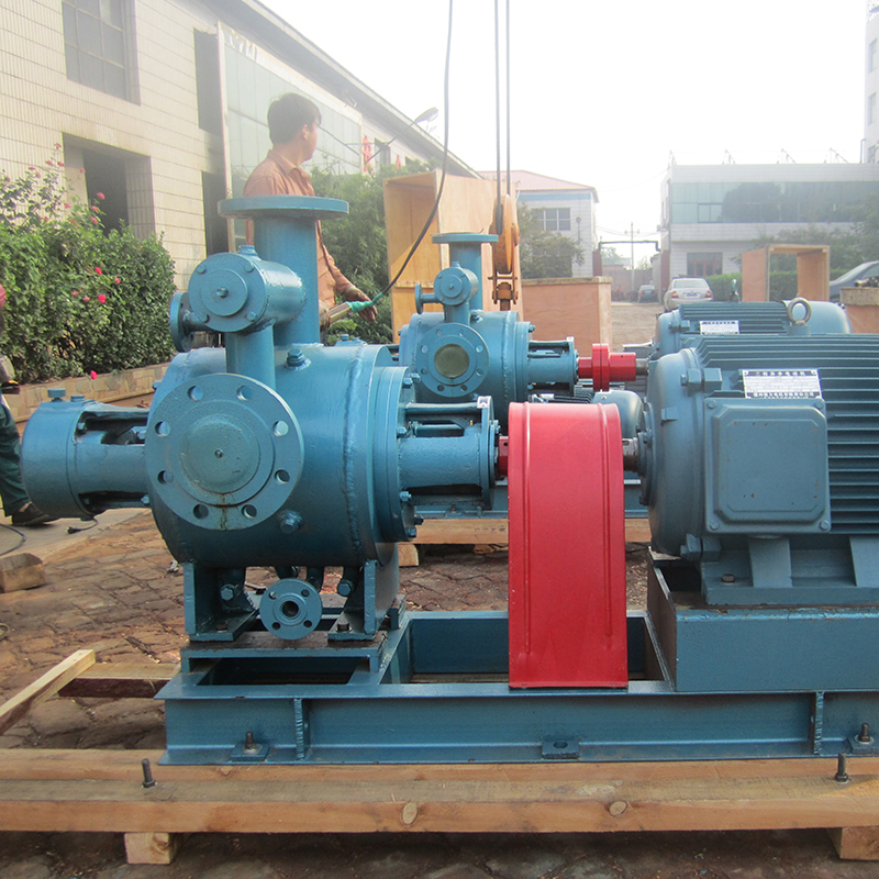 雙(shuāng)螺杆泵